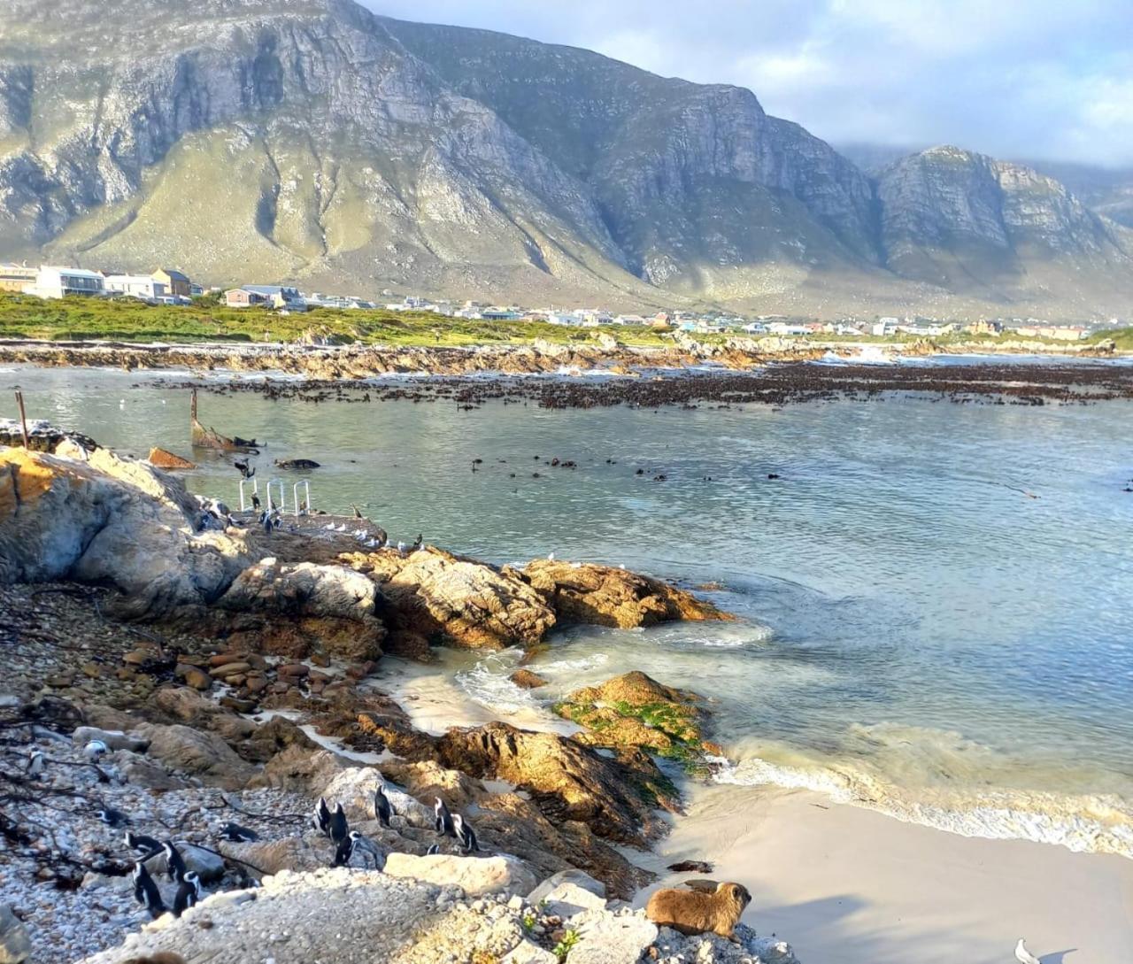 Nivenia Beach House Bettyʼs Bay Esterno foto